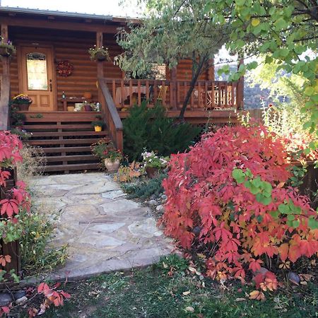 Canyon Wren Bed And Breakfast Bluff Luaran gambar