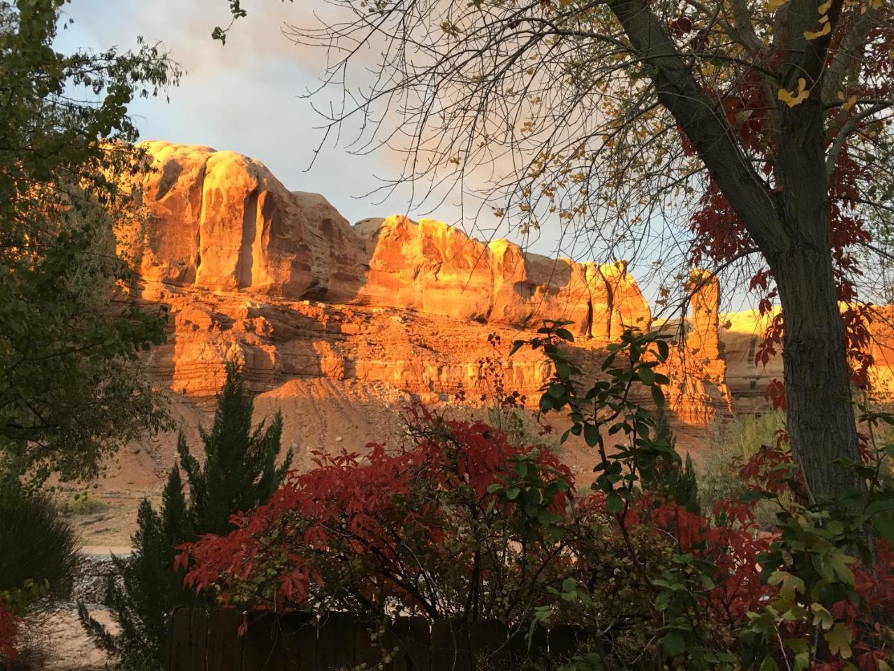 Canyon Wren Bed And Breakfast Bluff Luaran gambar